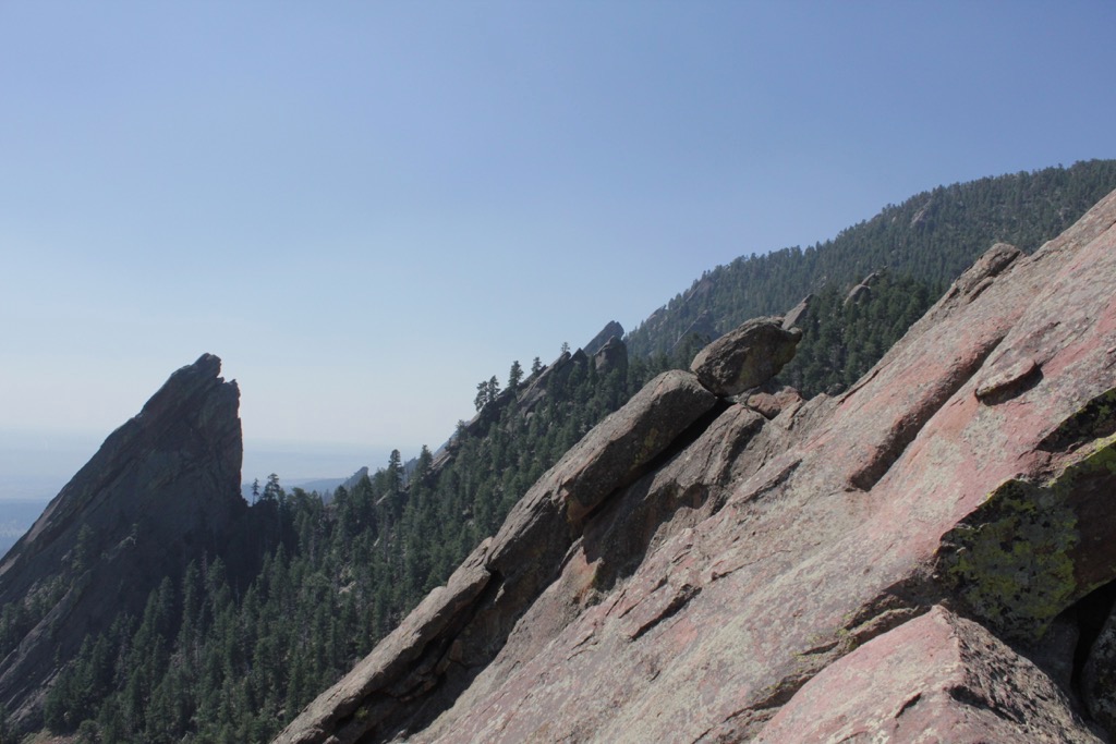 IMAGE: http://largiader.com/forumpics/wain4.jpg