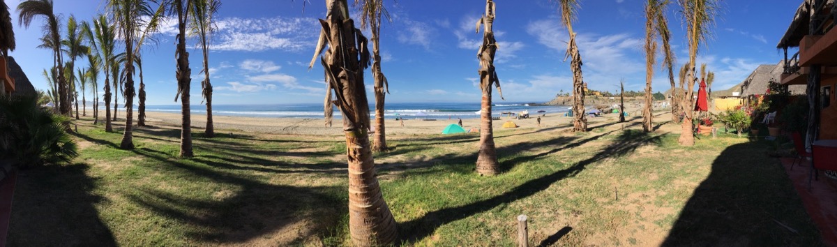 IMAGE: http://largiader.com/forumpics/wain9.jpg