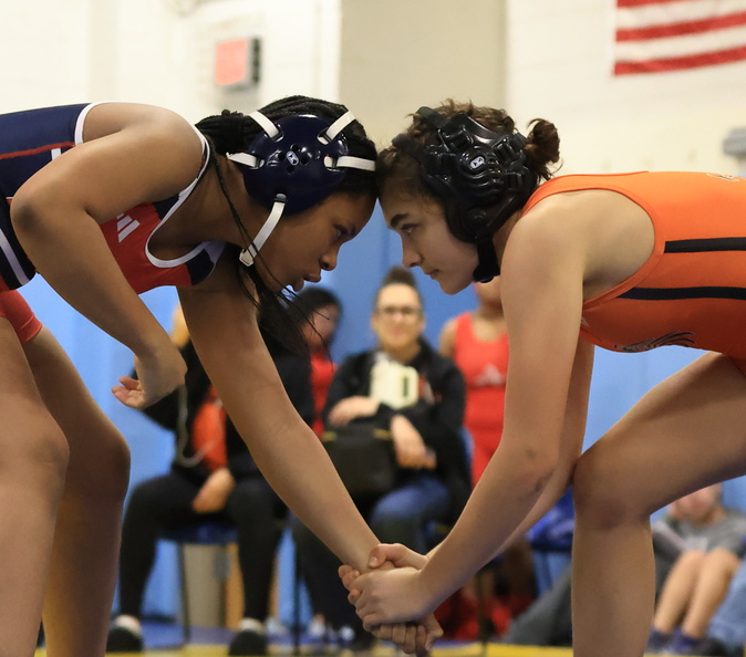ahs-gw-1.JPG