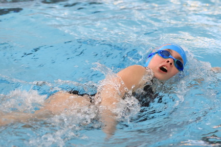 swim-2